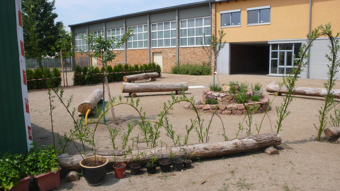 Schulgarten Juli 2010 - 03.jpg